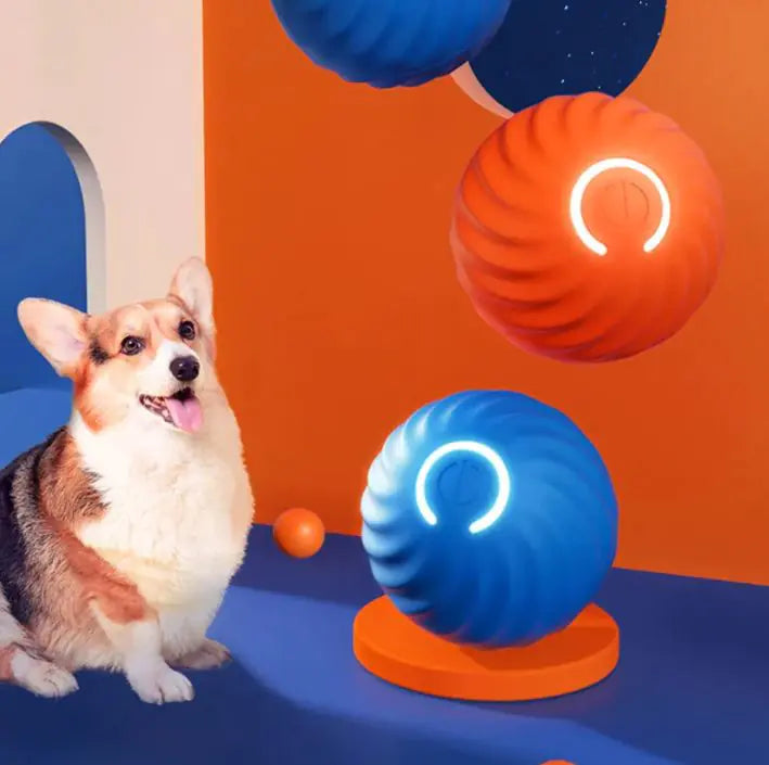 Pet Dog Rubber Ball