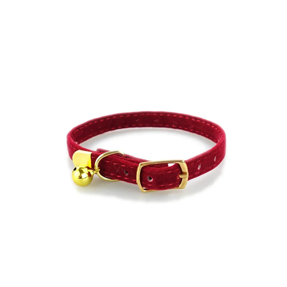 Stylish Cat Collar