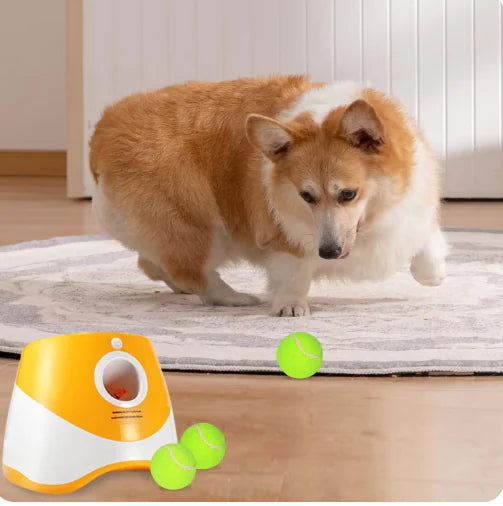 Zenpawsclub-FetchPro