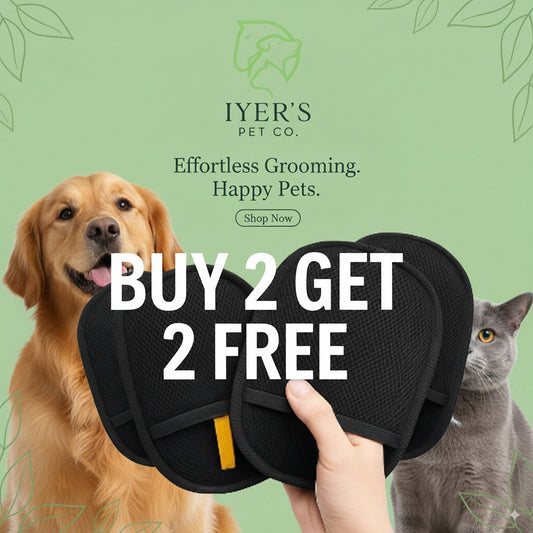 Pet Hair Removal Glove with Dual-Sided Electrostatic Bristles
